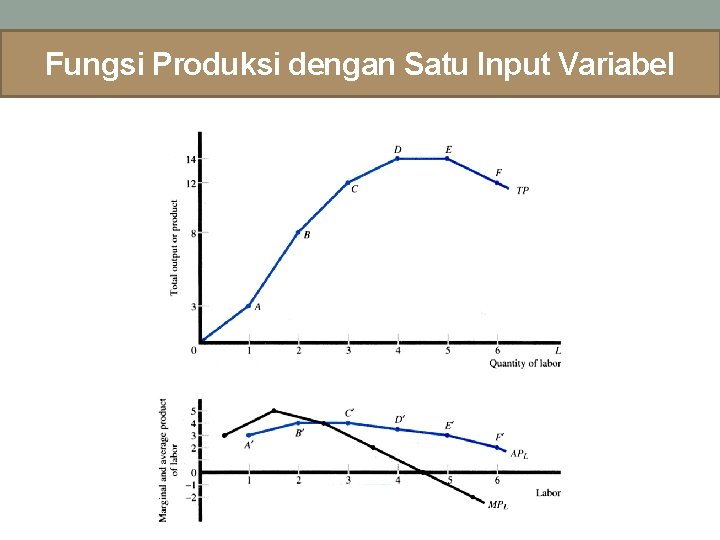 Fungsi Produksi dengan Satu Input Variabel 