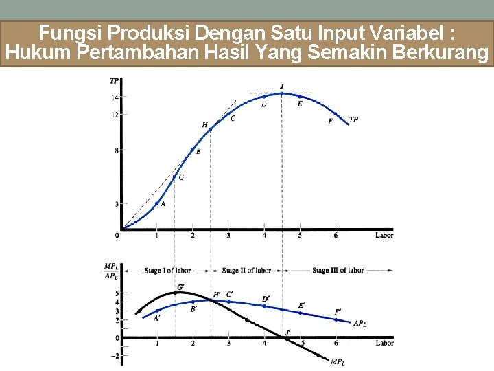 Fungsi Produksi Dengan Satu Input Variabel : Hukum Pertambahan Hasil Yang Semakin Berkurang 