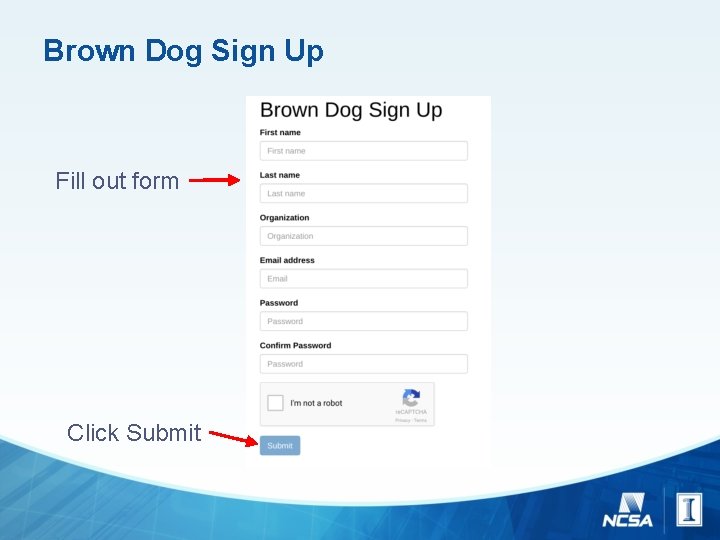 Brown Dog Sign Up Fill out form Click Submit 