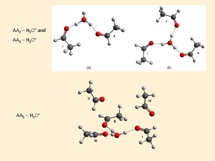 AA 2 – H 3 O+ and AA 3 – H 3 O+ AA