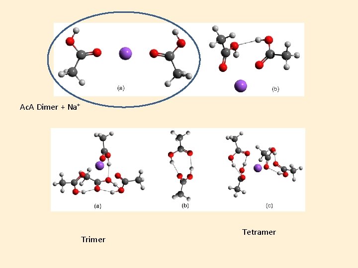 Ac. A Dimer + Na+ Trimer Tetramer 