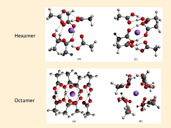 Hexamer Octamer 