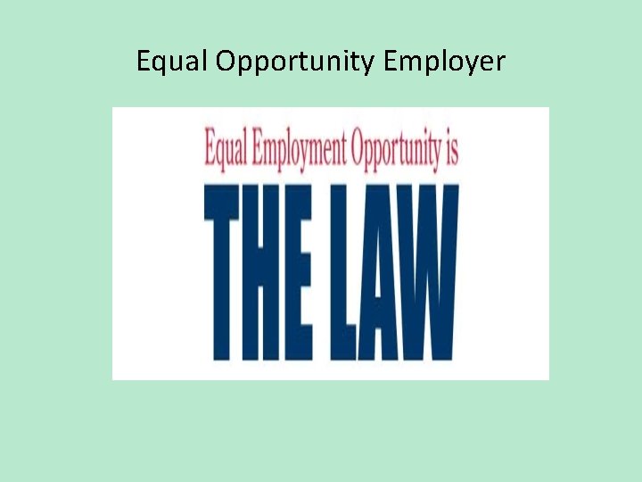 Equal Opportunity Employer 