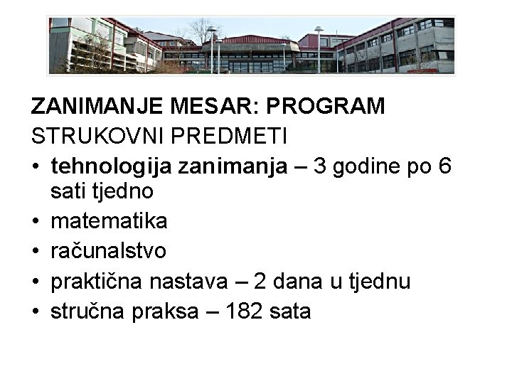 ZANIMANJE MESAR: PROGRAM STRUKOVNI PREDMETI • tehnologija zanimanja – 3 godine po 6 sati