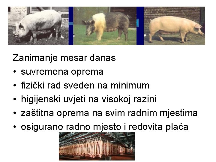 Zanimanje mesar danas • suvremena oprema • fizički rad sveden na minimum • higijenski