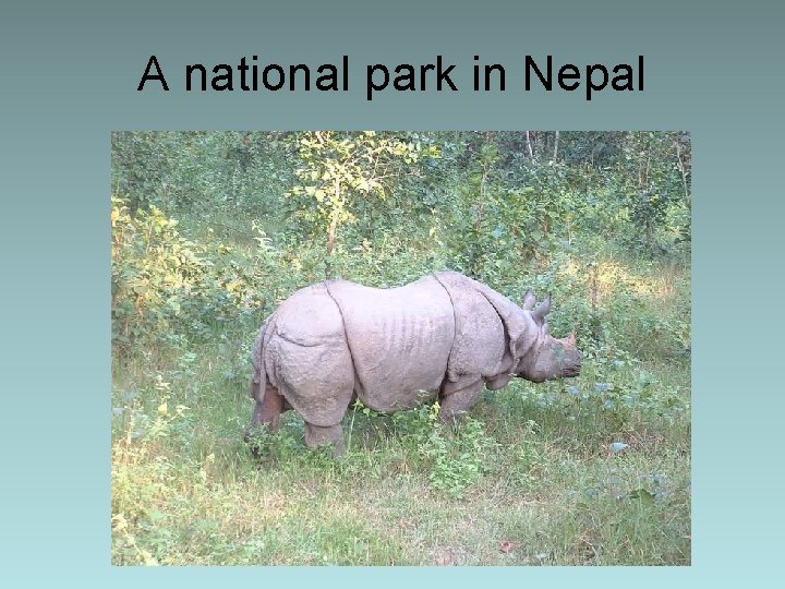 A national park in Nepal 