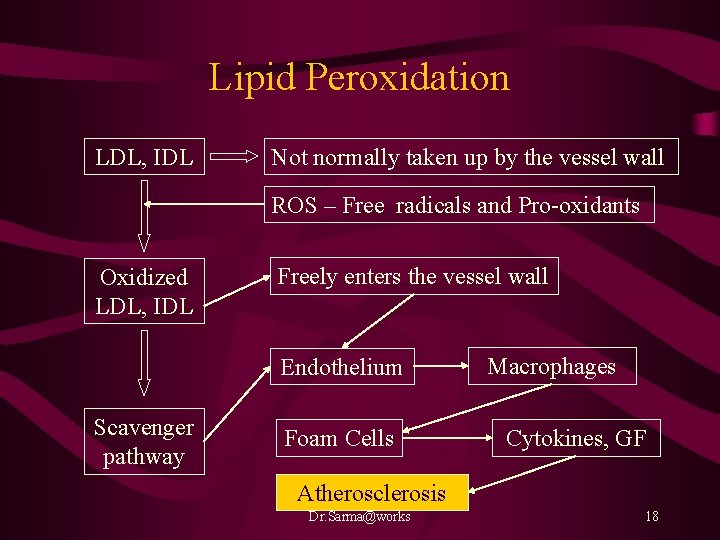 Lipid Peroxidation LDL, IDL Not normally taken up by the vessel wall ROS –