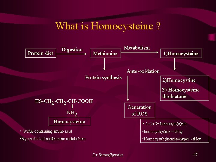 What is Homocysteine ? Protein diet Digestion Methionine Metabolism 1)Homocysteine Auto-oxidation Protein synthesis 2)Homocystine