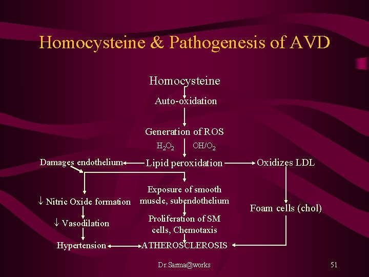 Homocysteine & Pathogenesis of AVD Homocysteine Auto-oxidation Generation of ROS H 2 O 2