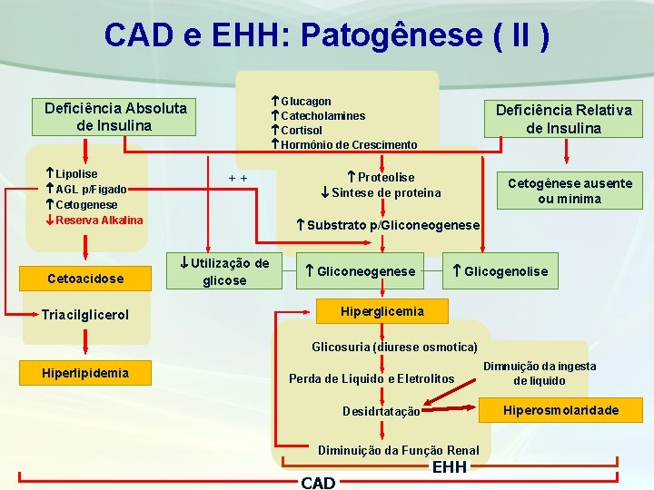 CAD e EHH: Patogênese ( II ) Glucagon Catecholamines Cortisol Hormônio de Crescimento Deficiência