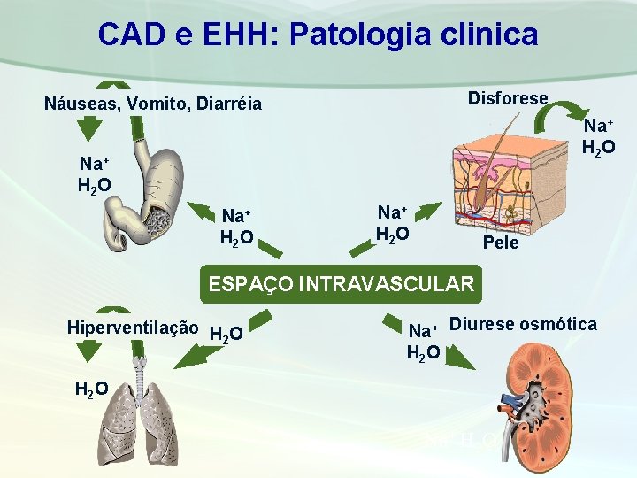 CAD e EHH: Patologia clinica Disforese Náuseas, Vomito, Diarréia Na+ H 2 O Pele