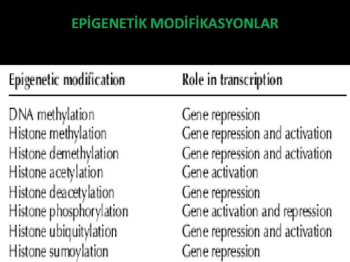 EPİGENETİK MODİFİKASYONLAR 