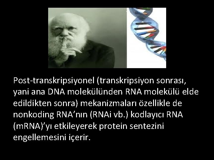 Post-transkripsiyonel (transkripsiyon sonrası, yani ana DNA molekülünden RNA molekülü elde edildikten sonra) mekanizmaları özellikle