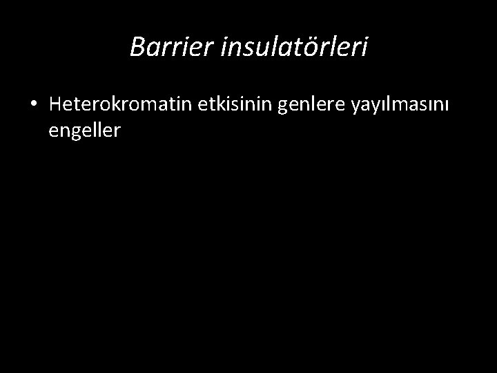 Barrier insulatörleri • Heterokromatin etkisinin genlere yayılmasını engeller 