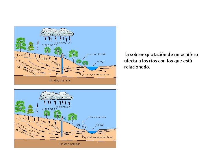 La sobreexplotación de un acuífero afecta a los ríos con los que está relacionado.