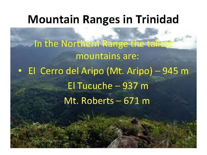 Mountain Ranges in Trinidad In the Northern Range the tallest mountains are: • El Mountain Ranges in Trinidad In the Northern Range the tallest mountains are: • El