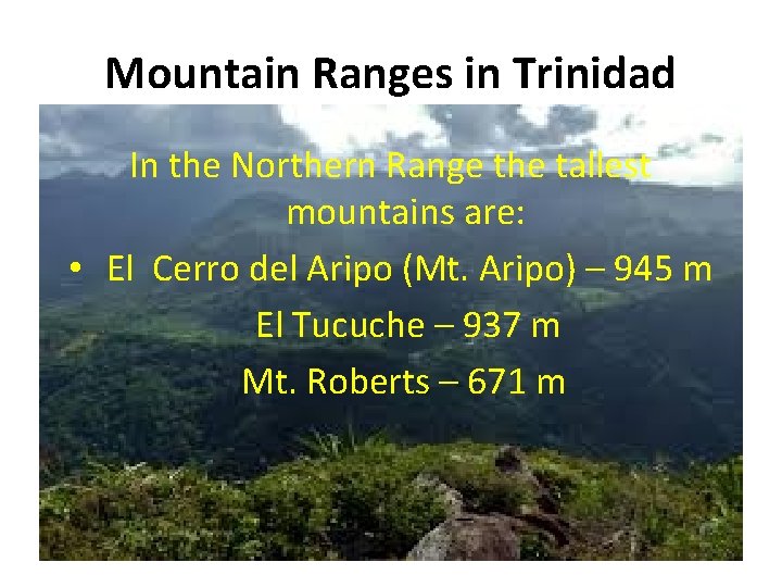 Mountain Ranges in Trinidad In the Northern Range the tallest mountains are: • El