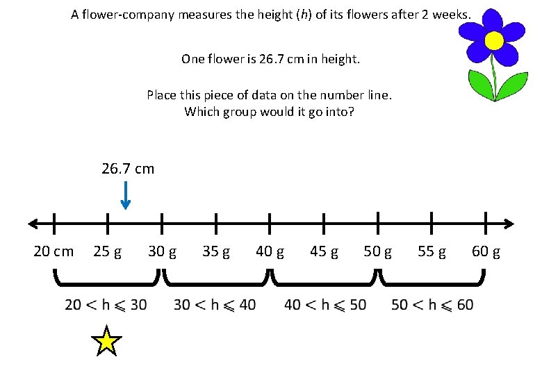 A flower-company measures the height (h) of its flowers after 2 weeks. One flower