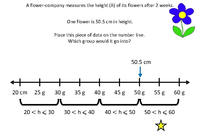 A flower-company measures the height (h) of its flowers after 2 weeks. One flower