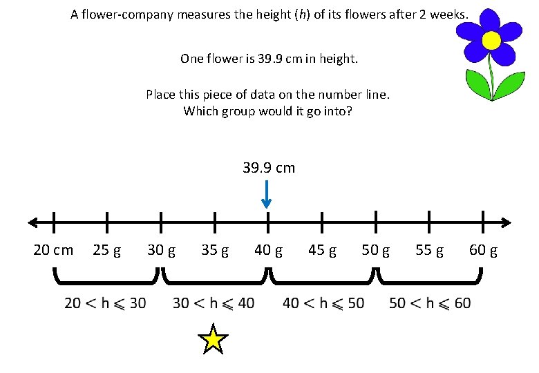 A flower-company measures the height (h) of its flowers after 2 weeks. One flower