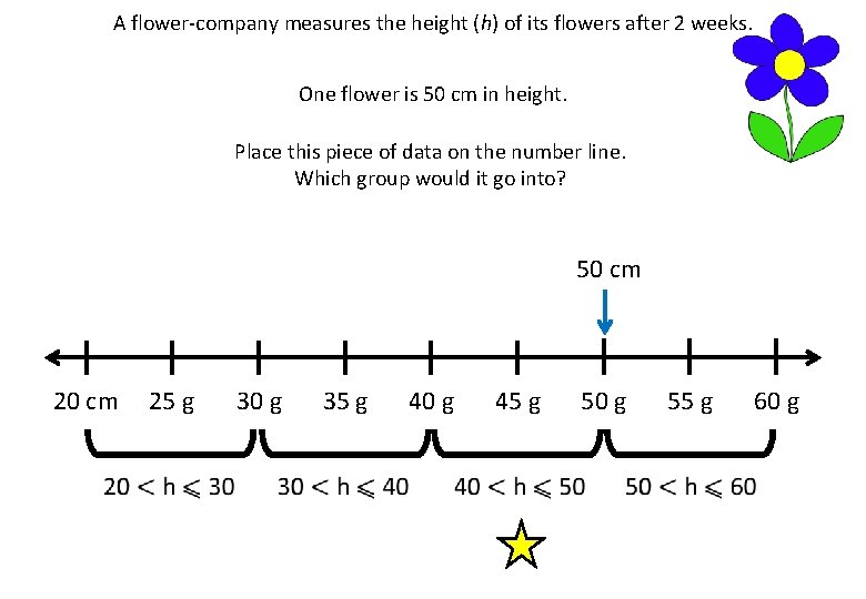 A flower-company measures the height (h) of its flowers after 2 weeks. One flower
