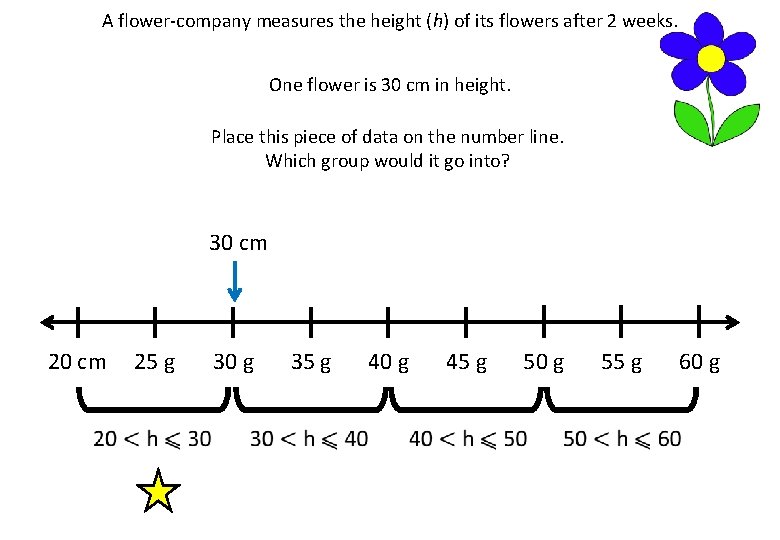 A flower-company measures the height (h) of its flowers after 2 weeks. One flower