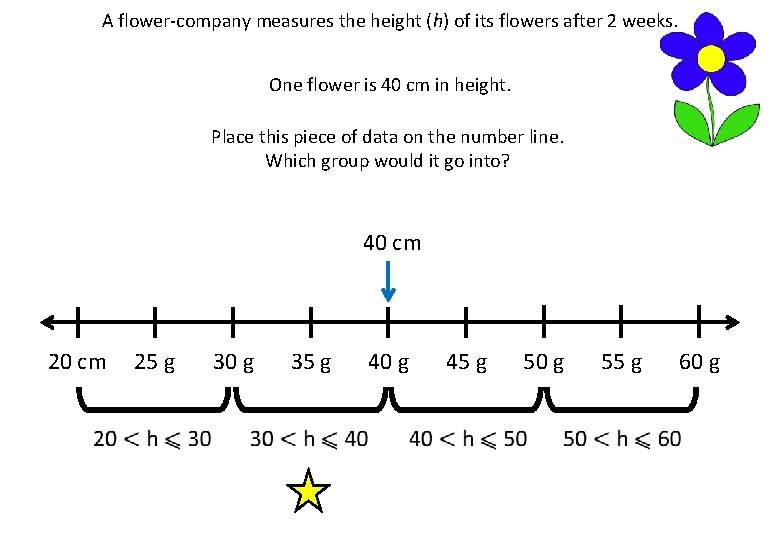 A flower-company measures the height (h) of its flowers after 2 weeks. One flower
