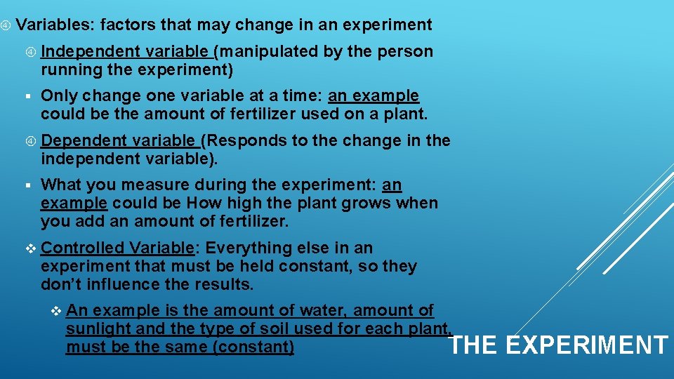  Variables: factors that may change in an experiment Independent variable (manipulated by the