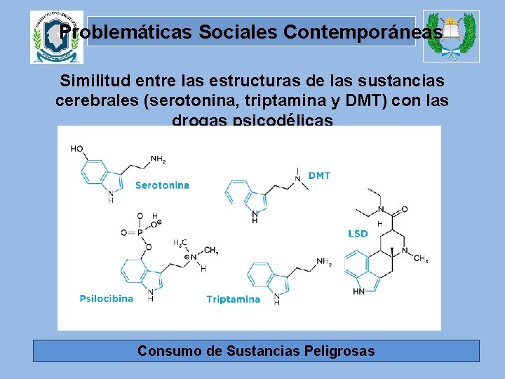 Problemáticas Sociales Contemporáneas Similitud entre las estructuras de las sustancias cerebrales (serotonina, triptamina y