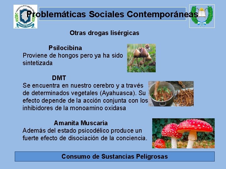 Problemáticas Sociales Contemporáneas Otras drogas lisérgicas Psilocibina Proviene de hongos pero ya ha sido