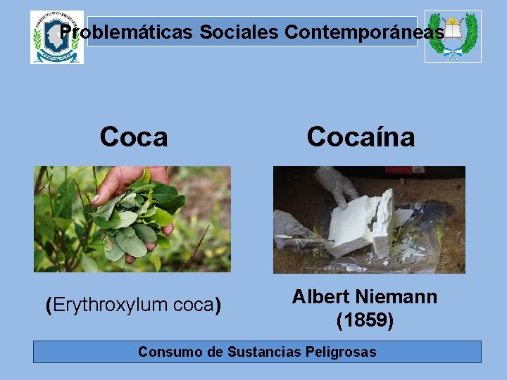 Problemáticas Sociales Contemporáneas Cocaína (Erythroxylum coca) Albert Niemann (1859) Consumo de Sustancias Peligrosas 