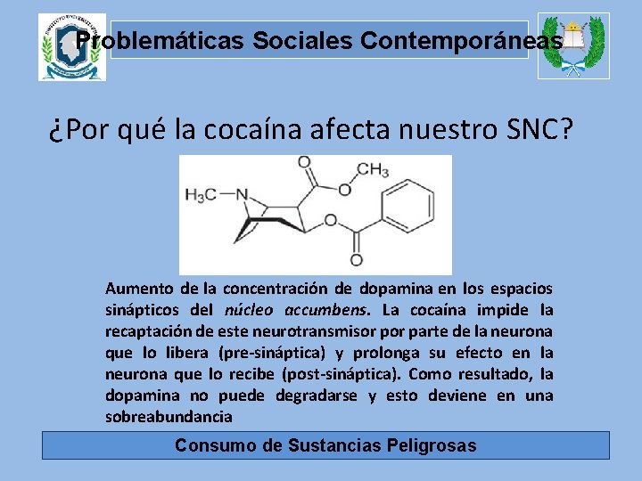 Problemáticas Sociales Contemporáneas ¿Por qué la cocaína afecta nuestro SNC? Aumento de la concentración