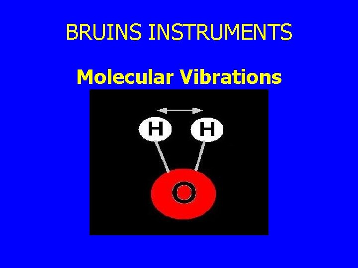 BRUINS INSTRUMENTS Molecular Vibrations 