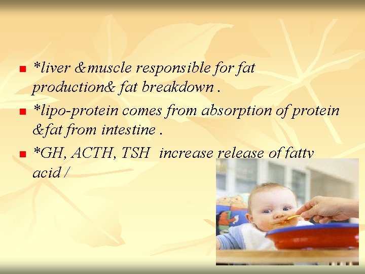 n n n *liver &muscle responsible for fat production& fat breakdown. *lipo-protein comes from