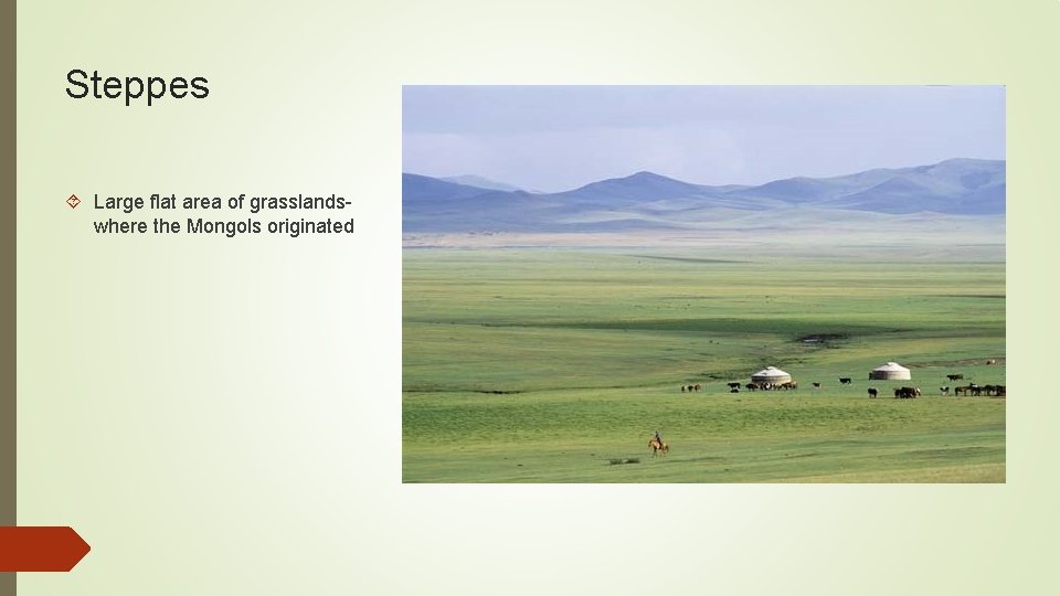 Steppes Large flat area of grasslandswhere the Mongols originated 