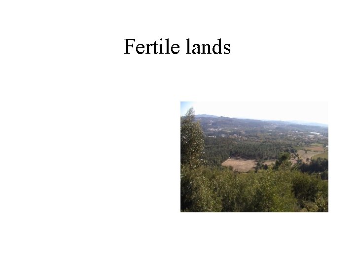 Fertile lands 