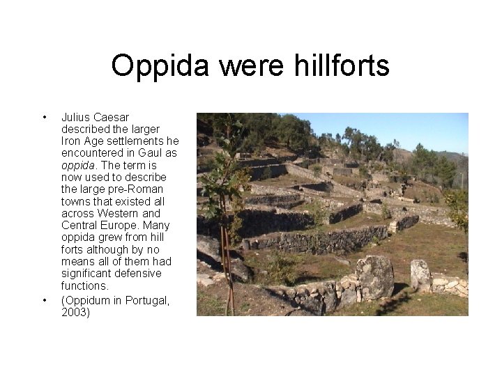 Oppida were hillforts • • Julius Caesar described the larger Iron Age settlements he