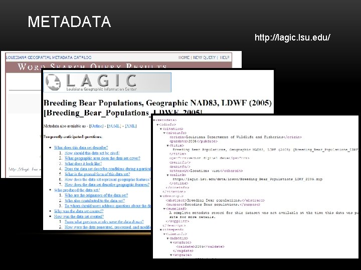 METADATA http: //lagic. lsu. edu/ 