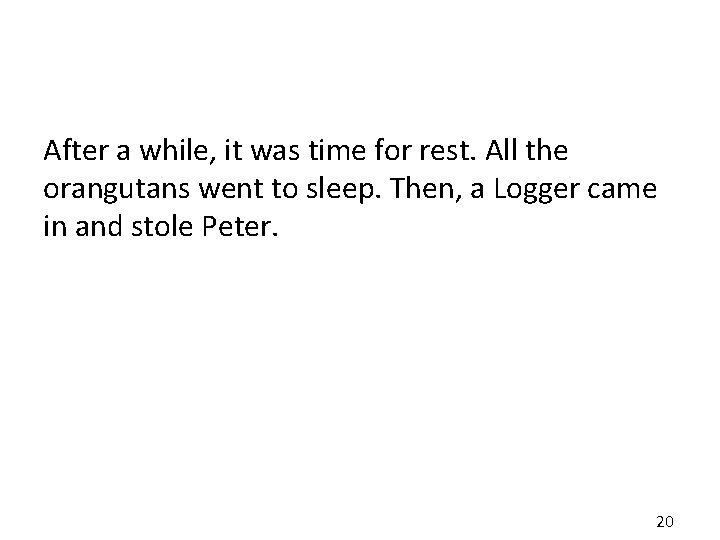 After a while, it was time for rest. All the orangutans went to sleep.