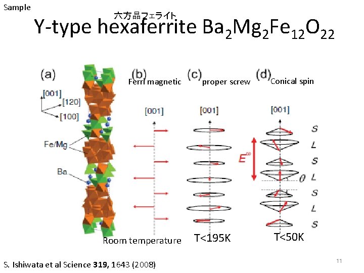 Sample 六方晶フェライト Y-type hexaferrite Ba 2 Mg 2 Fe 12 O 22 Ferri magnetic