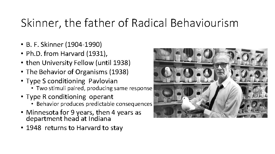 Skinner, the father of Radical Behaviourism • • • B. F. Skinner (1904 -1990)