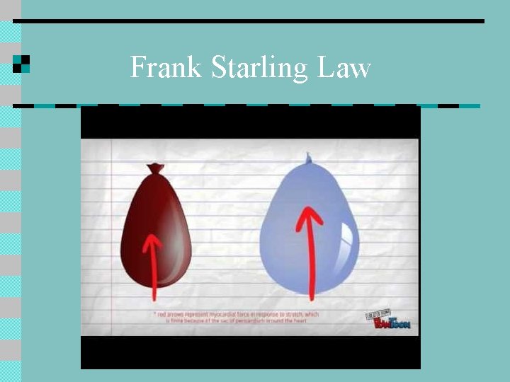 Frank Starling Law 