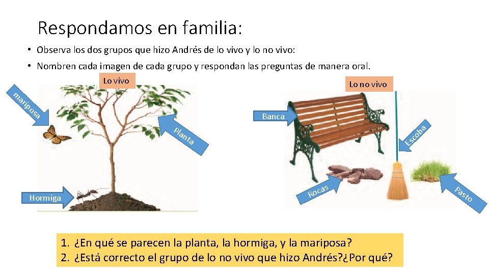 Respondamos en familia: • Observa los dos grupos que hizo Andrés de lo vivo