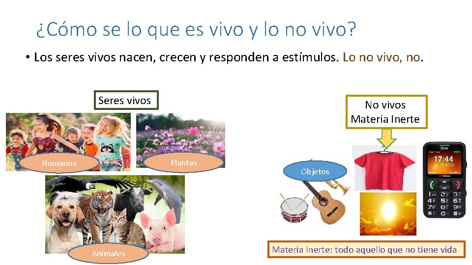 ¿Cómo se lo que es vivo y lo no vivo? • Los seres vivos