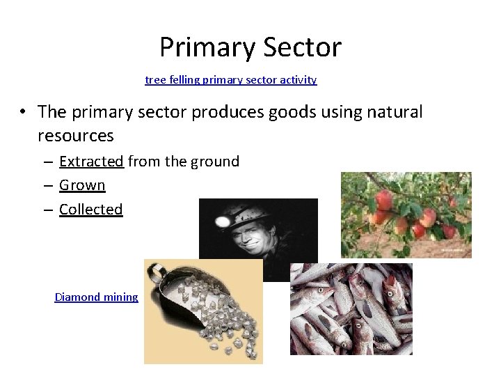 Primary Sector tree felling primary sector activity • The primary sector produces goods using