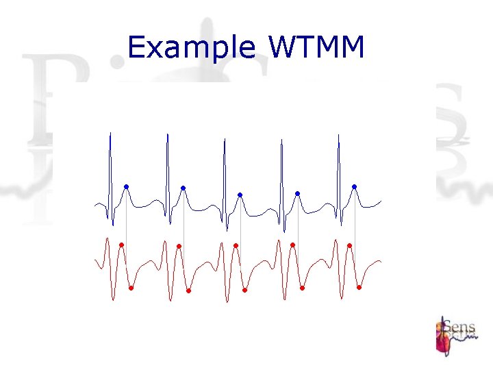 Example WTMM Example WTMM