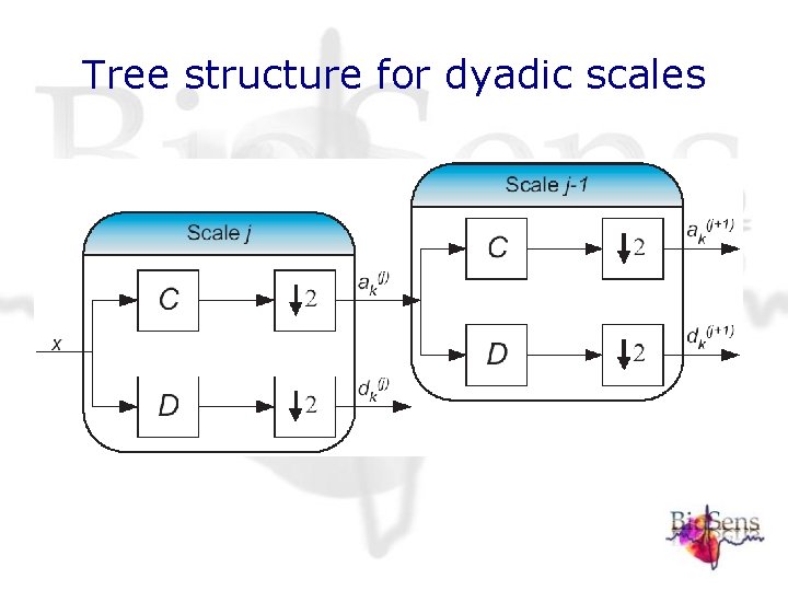 Tree structure for dyadic scales Tree structure for dyadic scales