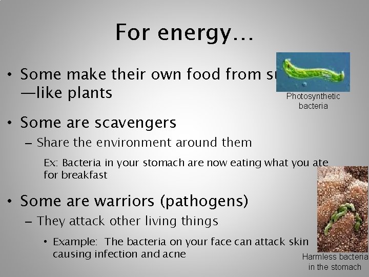 For energy… • Some make their own food from sunlight —like plants Photosynthetic bacteria For energy… • Some make their own food from sunlight —like plants Photosynthetic bacteria