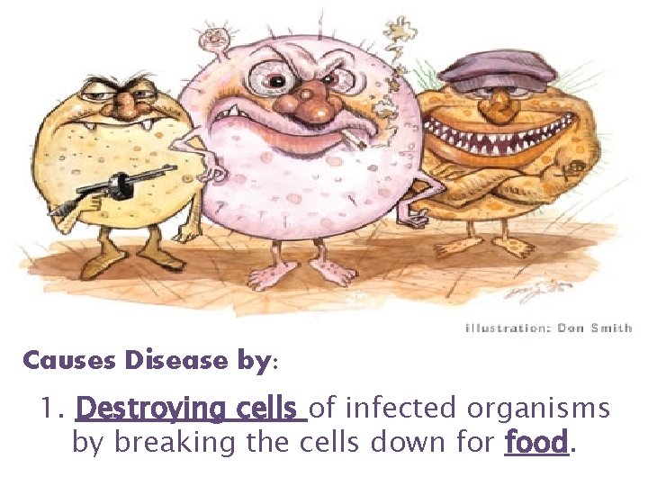 Causes Disease by: 1. Destroying cells of infected organisms by breaking the cells down Causes Disease by: 1. Destroying cells of infected organisms by breaking the cells down
