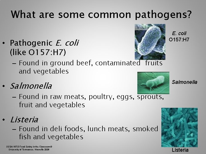 What are some common pathogens? • Pathogenic E. coli (like O 157: H 7) What are some common pathogens? • Pathogenic E. coli (like O 157: H 7)